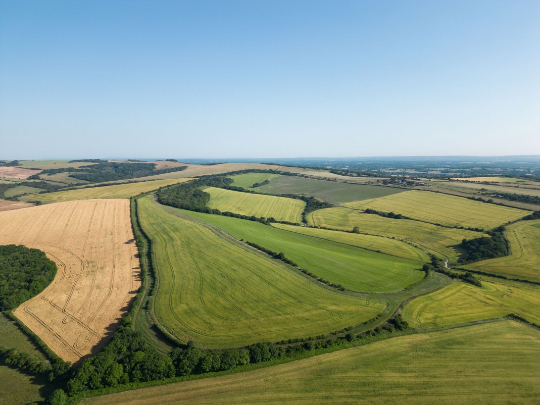 Photo of Front Hill, The Link and All Weather Gallops, The Old Racecourse, Lewes